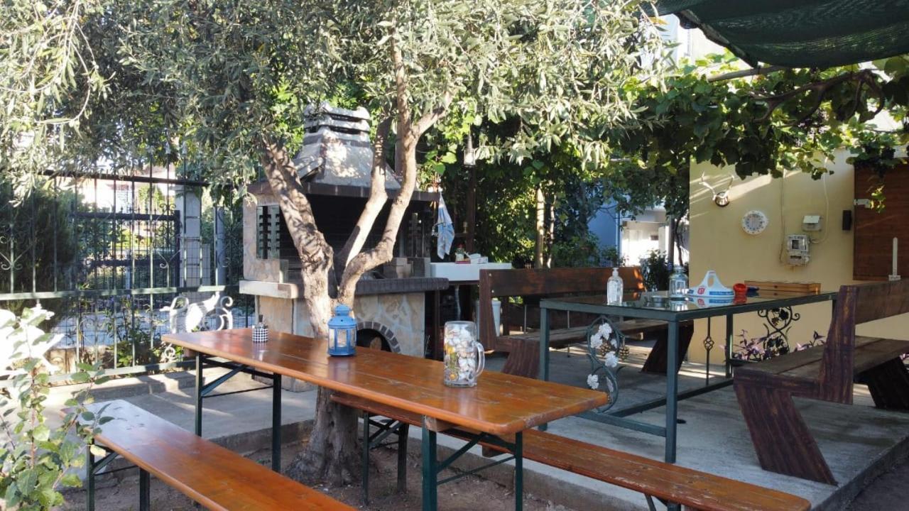 Garden * Potos
